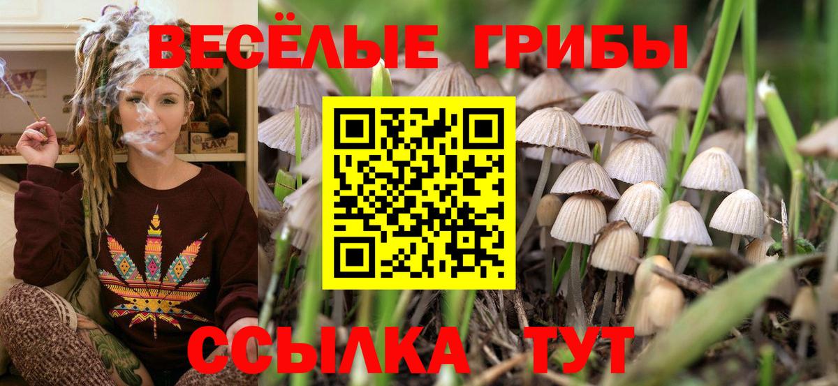 Галлюциногенные грибы мицелий Барабинск