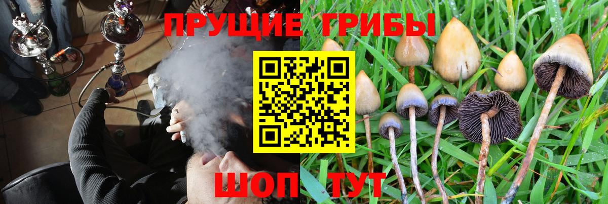 Галлюциногенные грибы MAGIC MUSHROOMS  Галлюциногенные грибы ЛСД  Барабинск  Вход с VPN 